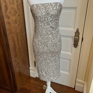Elegant Silver Strapless Dress by Express Sz S *Never Worn*